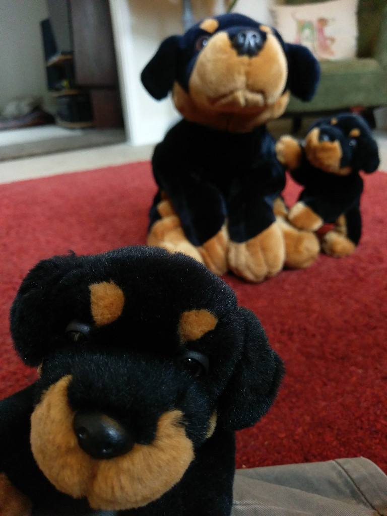 keel toys rottweiler